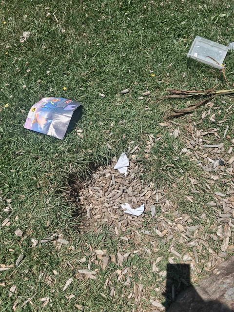 photo of rubbish on playground